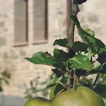 Farma Azienda Agraria La Casella *