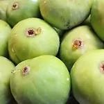 Farma Azienda Agraria La Casella *