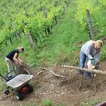Azienda Agraria La Casella
