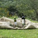 Azienda Agraria La Casella *
