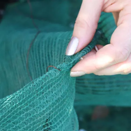 Farm stay Azienda Agraria La Casella