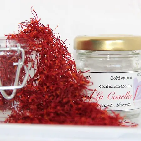 Azienda Agraria La Casella Montalcino