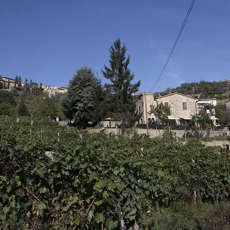 Azienda Agraria La Casella 蒙塔尔奇诺