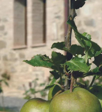 Farm stay Azienda Agraria La Casella *