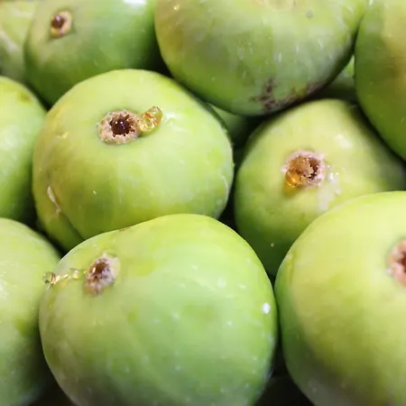 Farm stay Azienda Agraria La Casella *