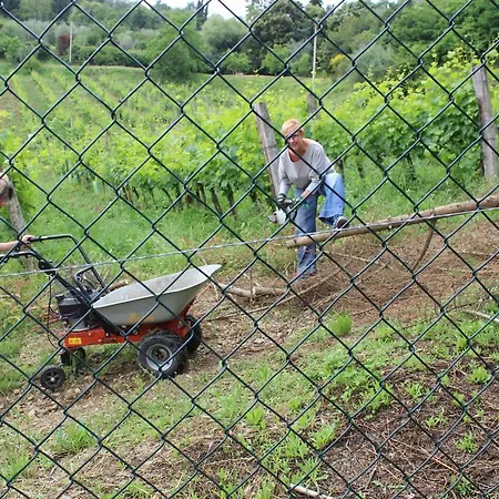 农家乐 Azienda Agraria La Casella 蒙塔尔奇诺
