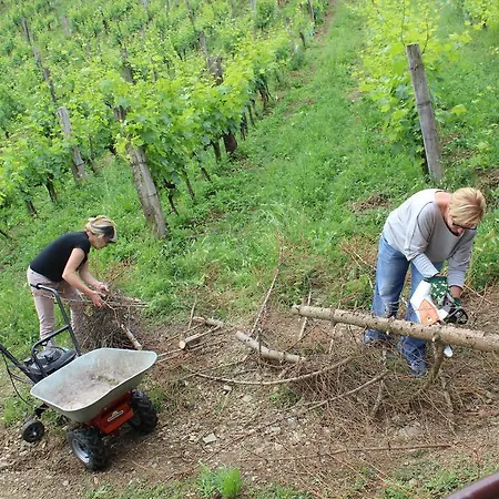 Azienda Agraria La Casella