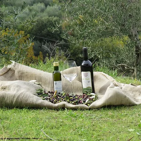 Azienda Agraria La Casella *