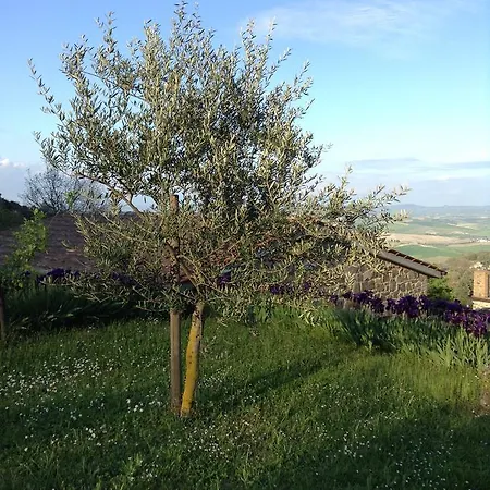 Azienda Agraria La Casella 蒙塔尔奇诺